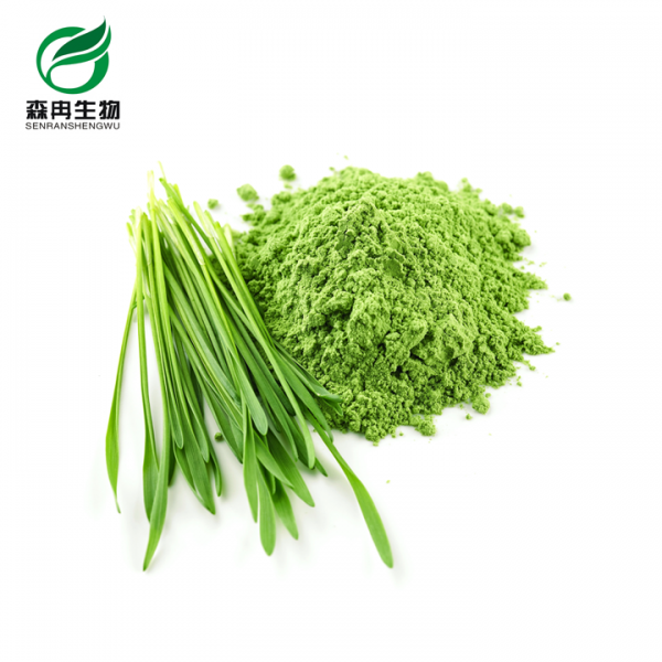 Barley Grass Powder