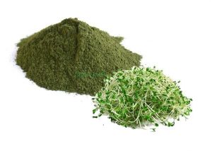 alfalfa-powder alfalfa-powder