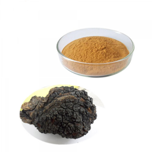 Chaga Extract SRBio Chaga Extract SRBio