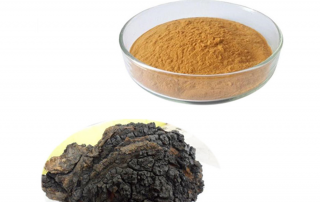 Chaga Extract SRBio