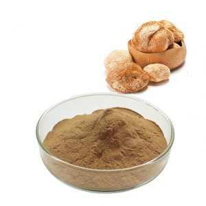 Lions Mane extract powder-SRBio