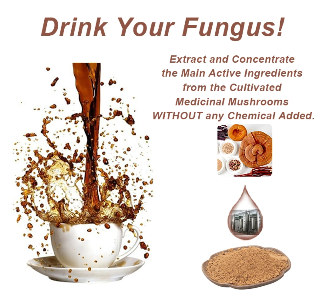 Reish extract powder1-SRBio Reish extract powder1-SRBio