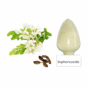 Sophoricoside SRBio
