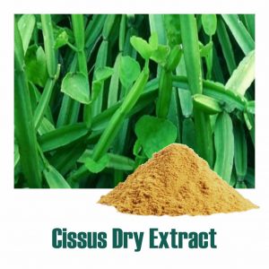 Cissus Extract-SRBio Cissus Extract-SRBio