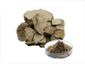 Stephania-Cepharantha-Extract-Stephania-Japonica Stephania-Cepharantha-Extract-Stephania-Japonica