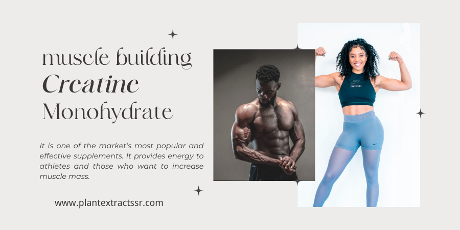 Creatine Monohydrate-SRBio