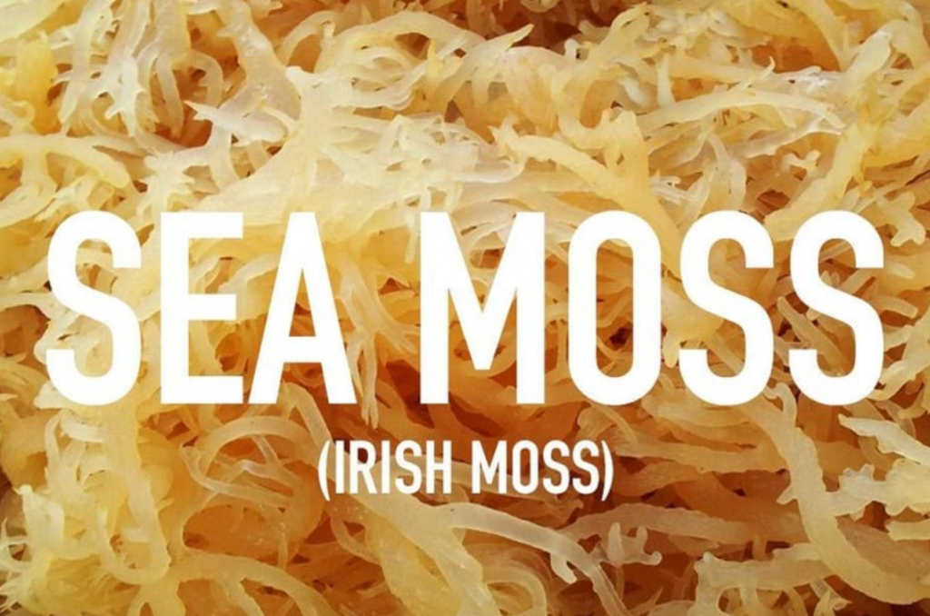 sea moss-SRBio